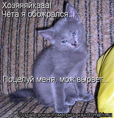 Хозяяяйкааа! Чёта я обожрался... Поцелуй меня, мож вырвет...... Котоматрица: Хозяяяйкааа! Чёта я обожрался... Поцелуй меня, мож вырвет...