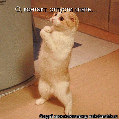 О, контакт, отпусти спать...... Котоматрица: О, контакт, отпусти спать...