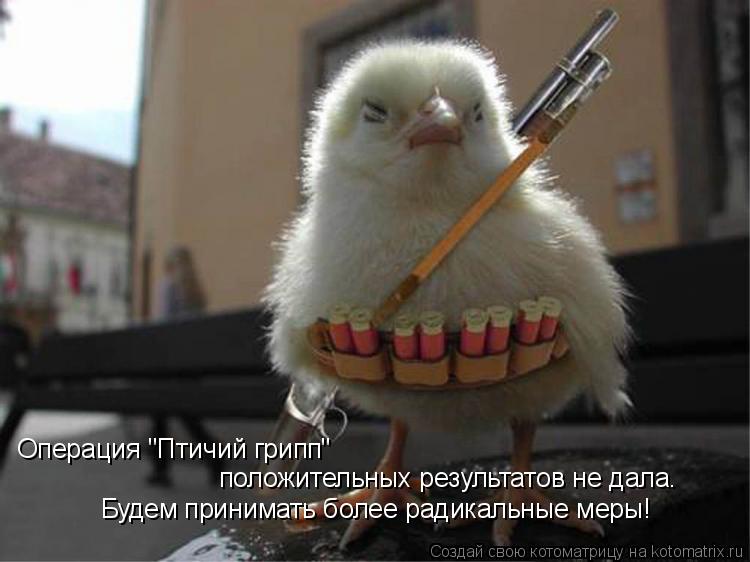 Операция "Птичий грипп" положительных результатов не дала. Будем принимать более радикальные меры!... Котоматрица: Операция "Птичий грипп" положительных результатов не дала. Будем принимать более радикальные меры!