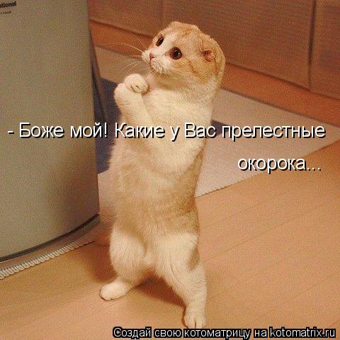 - Боже мой! Какие у Вас прелестные окорока...... Котоматрица: - Боже мой! Какие у Вас прелестные окорока...