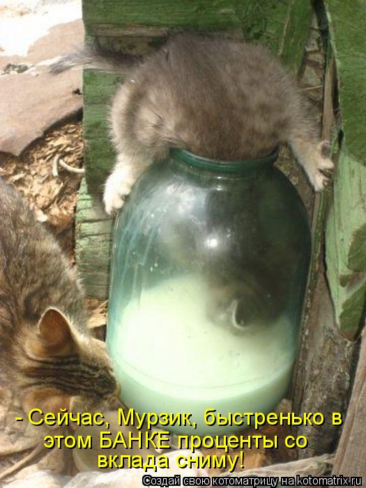 - Сейчас, Мурзик, быстренько в этом БАНКЕ проценты со вклада сниму!... Котоматрица: - Сейчас, Мурзик, быстренько в этом БАНКЕ проценты со вклада сниму!