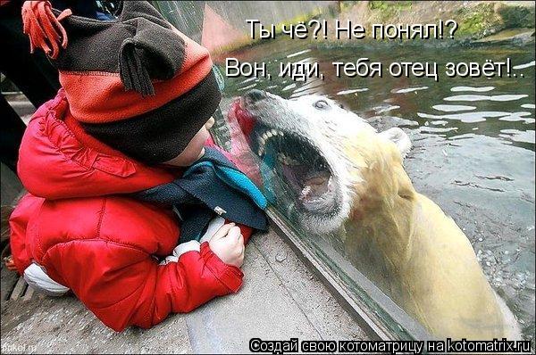 Ты чё?! Не понял!? Вон, иди, тебя отец зовёт!..... Котоматрица: Ты чё?! Не понял!? Вон, иди, тебя отец зовёт!..