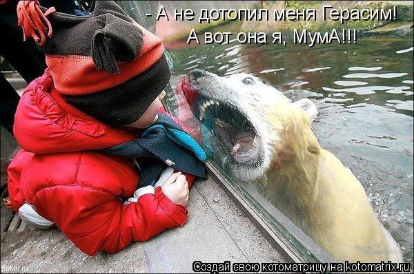 - А не дотопил меня Герасим! А вот она я, МумА!!!... Котоматрица: - А не дотопил меня Герасим! А вот она я, МумА!!!