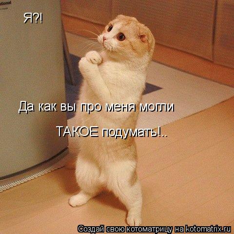 Я?! Да как вы про меня могли ТАКОЕ подумать!..... Котоматрица: Я?! Да как вы про меня могли ТАКОЕ подумать!..
