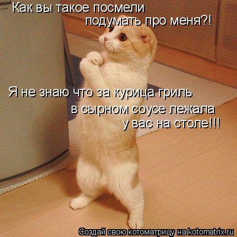 Как вы такое посмели подумать про меня?! Я не знаю что за курица гриль в сырном соусе лежала у вас... Котоматрица: Как вы такое посмели подумать про меня?! Я не знаю что за курица гриль в сырном соусе лежала у вас на столе!!!