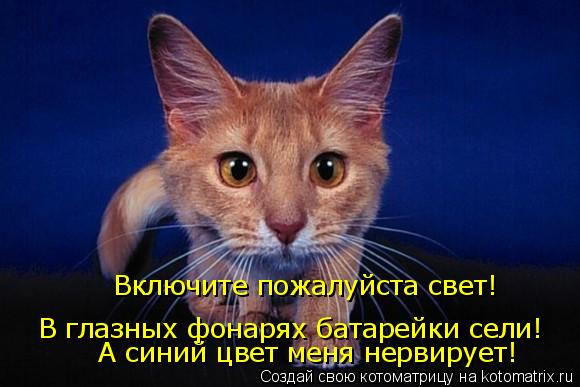 Включите пожалуйста свет! В глазных фонарях батарейки сели! А синий цвет меня нервирует!... Котоматрица: Включите пожалуйста свет! В глазных фонарях батарейки сели! А синий цвет меня нервирует!