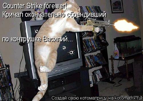 Counter Strike forewer! Кричал окончательно сбрендивший по контрушке Василий...... Котоматрица: Counter Strike forewer! Кричал окончательно сбрендивший по контрушке Василий...