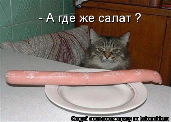 - А где же салат ?... Котоматрица: - А где же салат ?