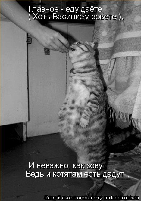 Главное - еду даёте, ( Хоть Василием зовете ) И неважно, как зовут, Ведь и котятам есть дадут... ,... Котоматрица: Главное - еду даёте, ( Хоть Василием зовете ) И неважно, как зовут, Ведь и котятам есть дадут... ,