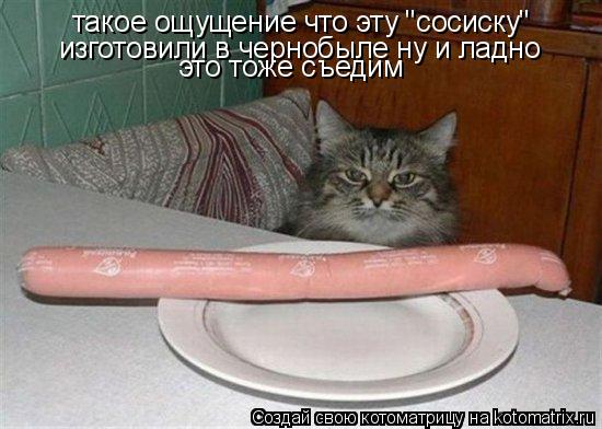 такое ощущение что эту "сосиску" изготовили в чернобыле ну и ладно это тоже съедим... Котоматрица: такое ощущение что эту "сосиску" изготовили в чернобыле ну и ладно это тоже съедим