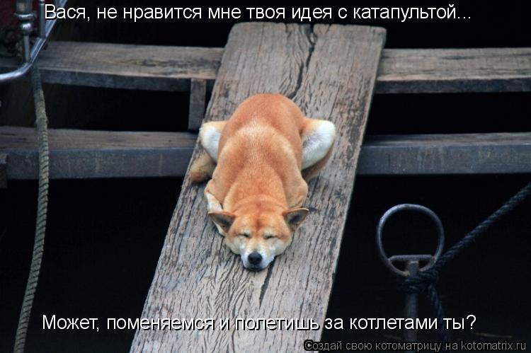 Вася, не нравится мне твоя идея с катапультой... Может, поменяемся и полетишь за котлетами ты?... Котоматрица: Вася, не нравится мне твоя идея с катапультой... Может, поменяемся и полетишь за котлетами ты?