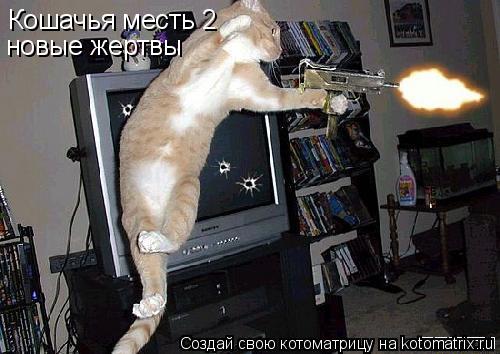 Кошачья месть 2 новые жертвы... Котоматрица: Кошачья месть 2 новые жертвы