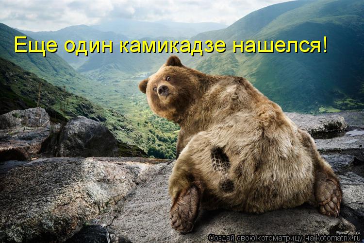 Еще один камикадзе нашелся!... Котоматрица: Еще один камикадзе нашелся!