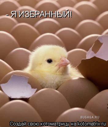 - Я ИЗБРАННЫЙ!... Котоматрица: - Я ИЗБРАННЫЙ!