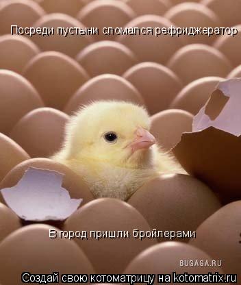 Посреди пустыни сломался рефриджератор В город пришли бройлерами... Котоматрица: Посреди пустыни сломался рефриджератор В город пришли бройлерами