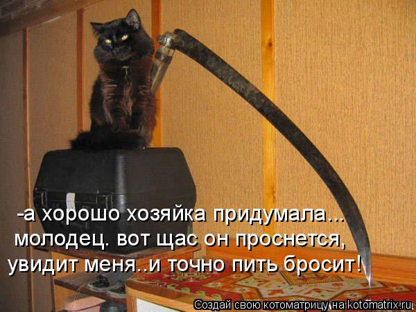 -а хорошо хозяйка придумала... увидит меня..и точно пить бросит! молодец. вот щас он проснется,... Котоматрица: -а хорошо хозяйка придумала... увидит меня..и точно пить бросит! молодец. вот щас он проснется,