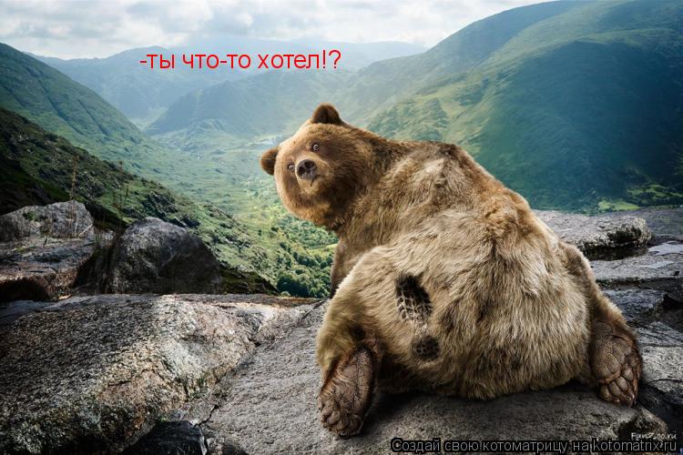 -ты что-то хотел!?... Котоматрица: -ты что-то хотел!?