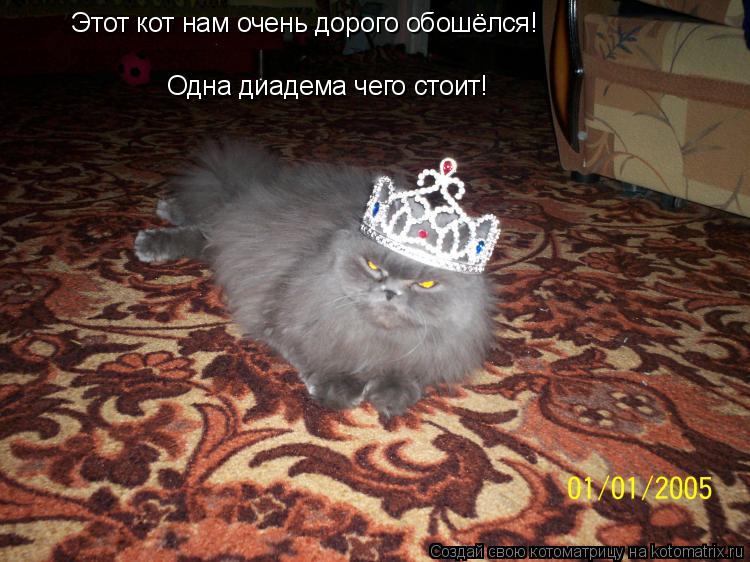 Этот кот нам очень дорого обошёлся! Одна диадема чего стоит!... Котоматрица: Этот кот нам очень дорого обошёлся! Одна диадема чего стоит!