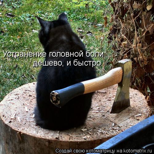 Устранение головной боли дёшево, и быстро... Котоматрица: Устранение головной боли дёшево, и быстро