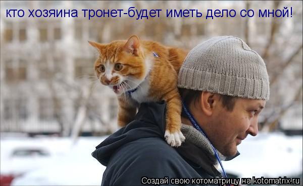 кто хозяина тронет-будет иметь дело со мной!... Котоматрица: кто хозяина тронет-будет иметь дело со мной!