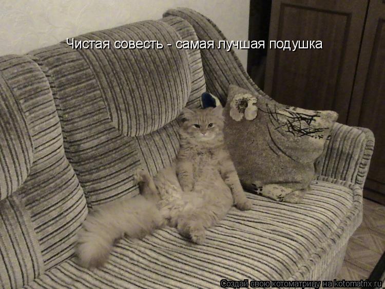 Чистая совесть - самая лучшая подушка... Котоматрица: Чистая совесть - самая лучшая подушка
