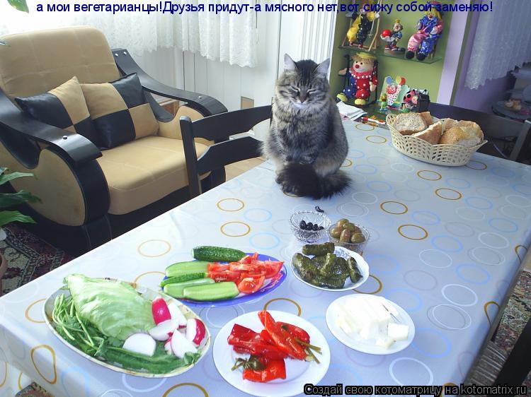 а мои вегетарианцы!Друзья придут-а мясного нет,вот сижу собой заменяю!... Котоматрица: а мои вегетарианцы!Друзья придут-а мясного нет,вот сижу собой заменяю!