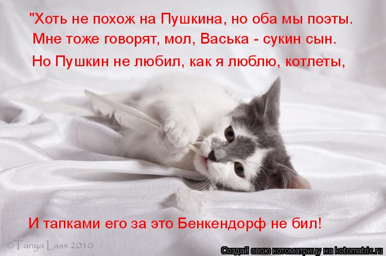 "Хоть не похож на Пушкина, но оба мы поэты. Мне тоже говорят, мол, Васька - сукин сын. Но Пушкин не л... Котоматрица: "Хоть не похож на Пушкина, но оба мы поэты. Мне тоже говорят, мол, Васька - сукин сын. Но Пушкин не любил, как я люблю, котлеты, И тапками его за э