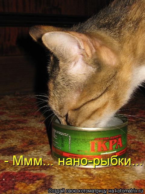 - Ммм... нано-рыбки...... Котоматрица: - Ммм... нано-рыбки...