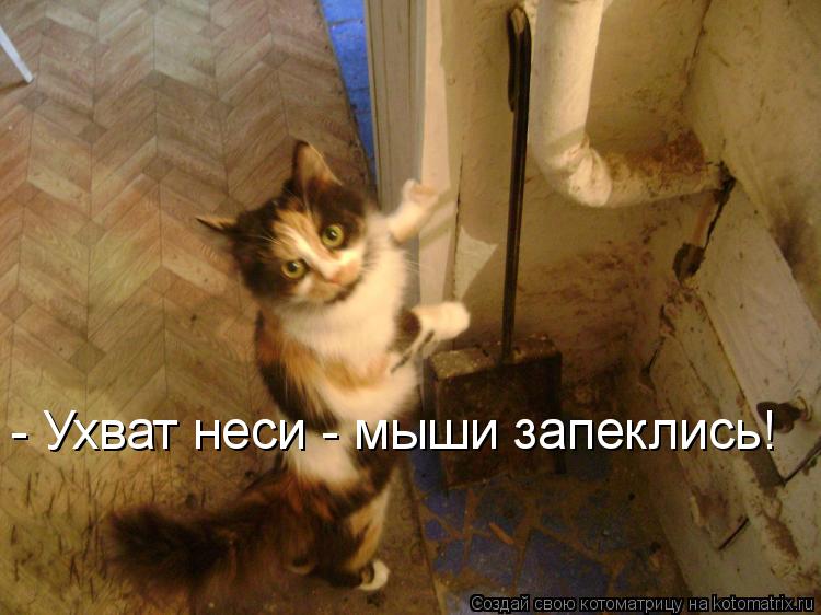- Ухват неси - мыши запеклись!... Котоматрица: - Ухват неси - мыши запеклись!