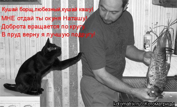 Кушай борщ,любезный,кушай кашу! Доброта вращается по кругу. В пруд верну я лучшую подругу! МНЕ отдай ... Котоматрица: Кушай борщ,любезный,кушай кашу! Доброта вращается по кругу. В пруд верну я лучшую подругу! МНЕ отдай ты окуня Наташу!