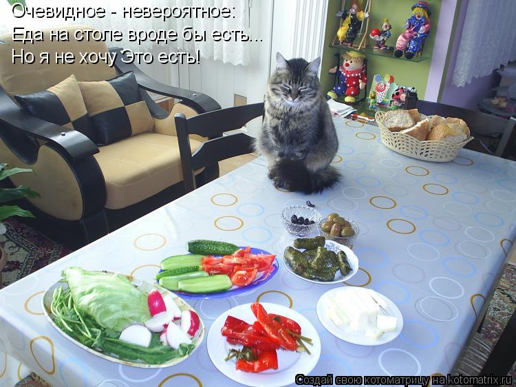 Еда на столе вроде бы есть... Но я не хочу Это есть! Очевидное - невероятное:... Котоматрица: Еда на столе вроде бы есть... Но я не хочу Это есть! Очевидное - невероятное:
