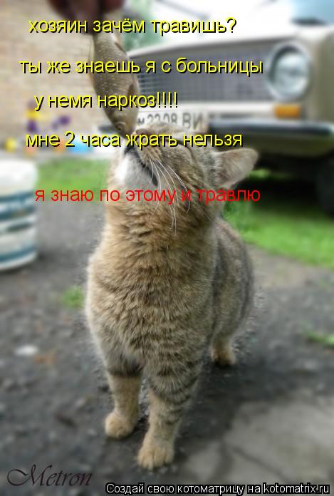 ты же знаешь я с больницы у немя наркоз!!!! мне 2 часа жрать нельзя я знаю по этому и травлю хозяи... Котоматрица: ты же знаешь я с больницы у немя наркоз!!!! мне 2 часа жрать нельзя я знаю по этому и травлю хозяин зачём травишь?