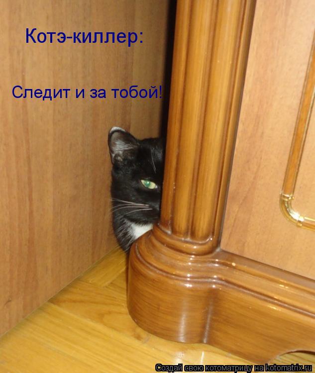 Котэ-киллер: Следит и за тобой!... Котоматрица: Котэ-киллер: Следит и за тобой!
