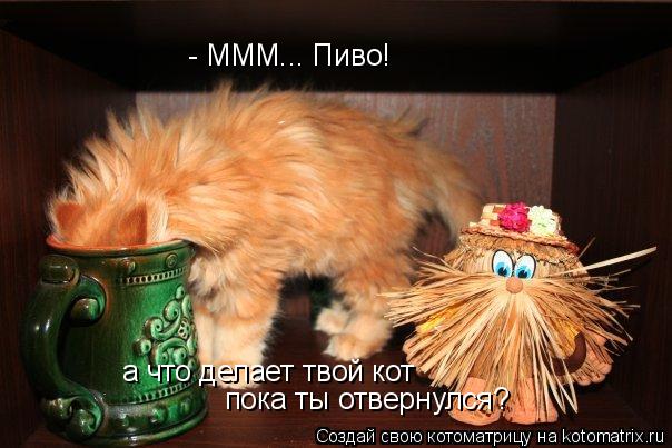 - МММ... Пиво! а что делает твой кот пока ты отвернулся?... Котоматрица: - МММ... Пиво! а что делает твой кот пока ты отвернулся?