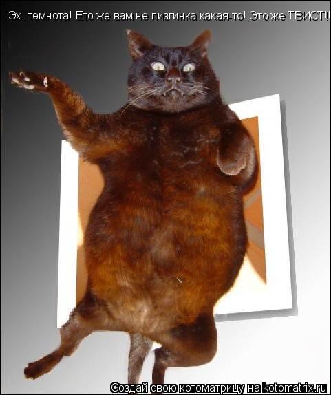 Эх, темнота! Ето же вам не лизгинка какая-то! Это же ТВИСТ!!!... Котоматрица: Эх, темнота! Ето же вам не лизгинка какая-то! Это же ТВИСТ!!!