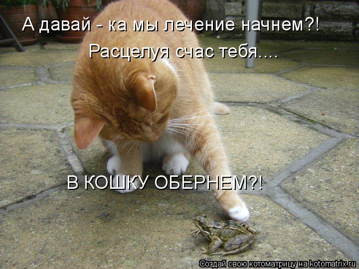 А давай - ка мы лечение начнем?! Расцелуя счас тебя.... В КОШКУ ОБЕРНЕМ?!... Котоматрица: А давай - ка мы лечение начнем?! Расцелуя счас тебя.... В КОШКУ ОБЕРНЕМ?!