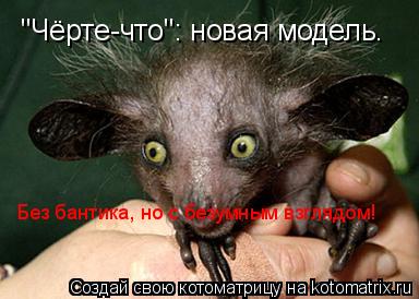 "Чёрте-что": новая модель. Без бантика, но с безумным взглядом!... Котоматрица: "Чёрте-что": новая модель. Без бантика, но с безумным взглядом!