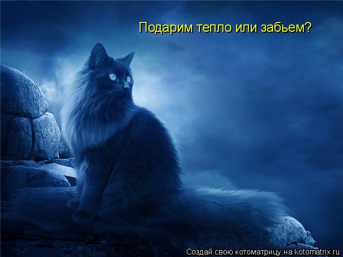 Подарим тепло или забьем?... Котоматрица: Подарим тепло или забьем?