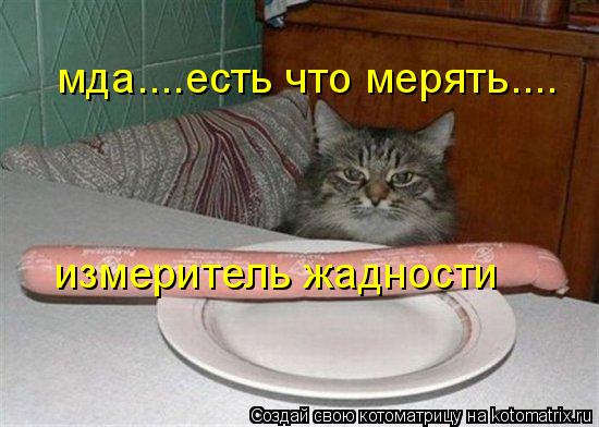 измеритель жадности мда....есть что мерять....... Котоматрица: измеритель жадности мда....есть что мерять....