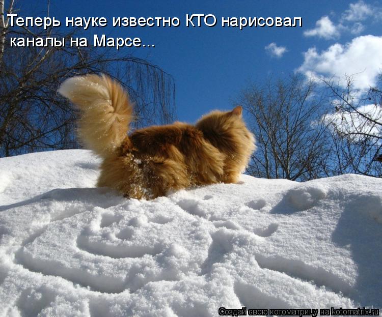 Теперь науке известно КТО нарисовал каналы на Марсе...... Котоматрица: Теперь науке известно КТО нарисовал каналы на Марсе...