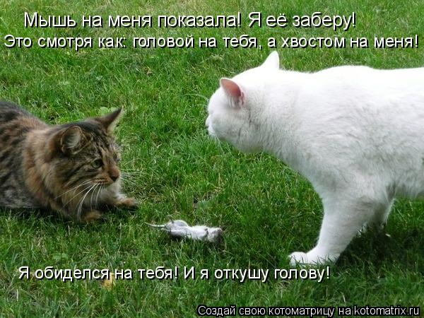 Котоматрица: Мышь на меня показала! Я её заберу! Это смотря как: головой на тебя, а хвостом на меня! Я обиделся на тебя! И я откушу голову!