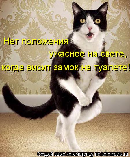 Нет положения ужаснее на свете, когда висит замок на туалете!... Котоматрица: Нет положения ужаснее на свете, когда висит замок на туалете!