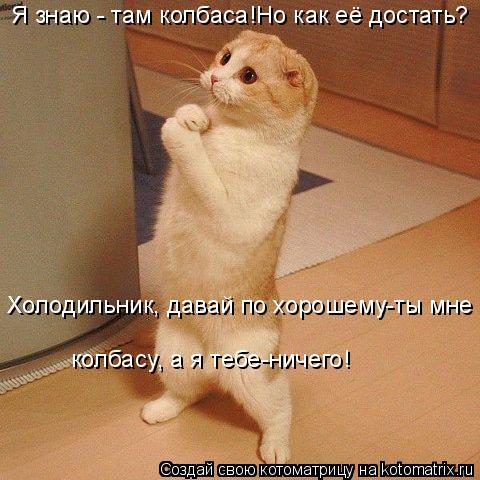 Я знаю - там колбаса!Но как её достать? Холодильник, давай по хорошему-ты мне колбасу, а я тебе-ниче... Котоматрица: Я знаю - там колбаса!Но как её достать? Холодильник, давай по хорошему-ты мне колбасу, а я тебе-ничего!