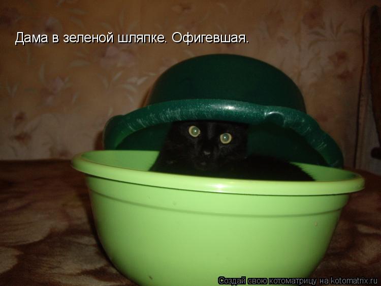 Дама в зеленой шляпке. Офигевшая.... Котоматрица: Дама в зеленой шляпке. Офигевшая.