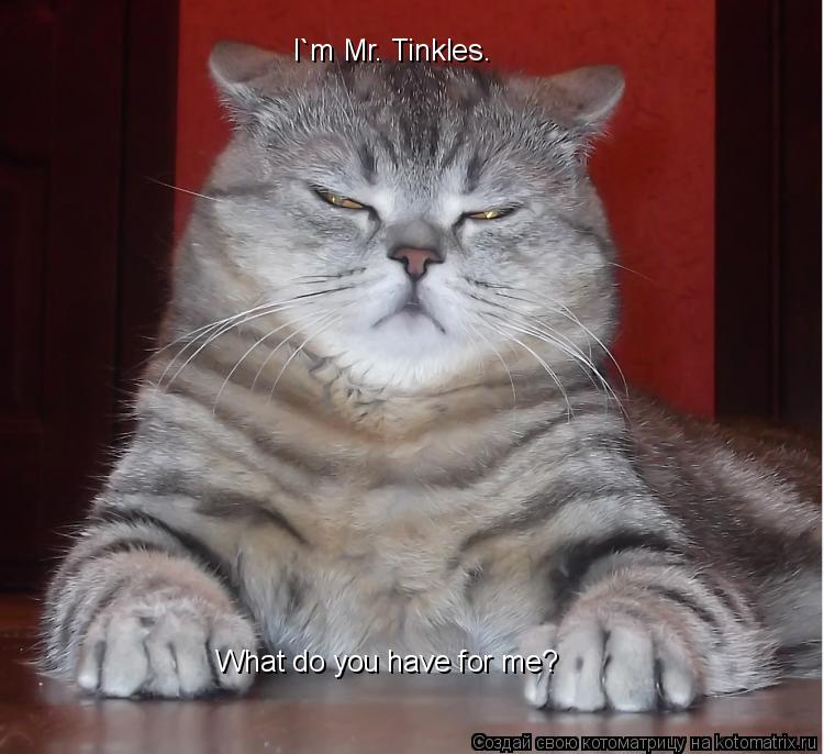 I`m Mr. Tinkles. What do you have for me?... Котоматрица: I`m Mr. Tinkles. What do you have for me?