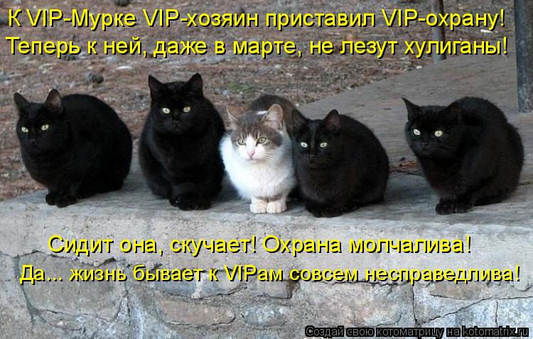 К VIP-Мурке VIP-хозяин приставил VIP-охрану! Теперь к ней, даже в марте, не лезут хулиганы! Сидит о... Котоматрица: К VIP-Мурке VIP-хозяин приставил VIP-охрану! Теперь к ней, даже в марте, не лезут хулиганы! Сидит она, скучает! Охрана молчалива! Да... жизнь бывае
