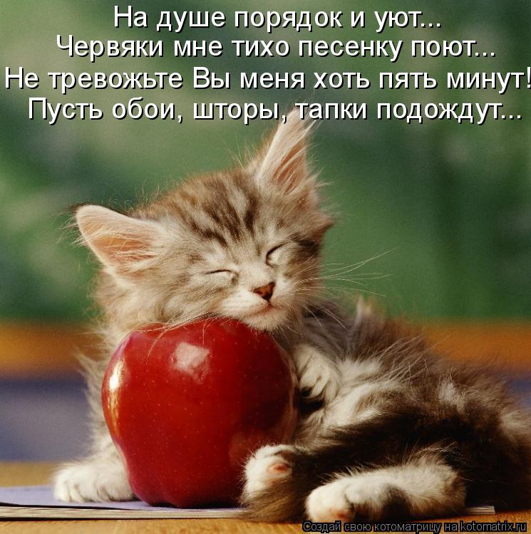 На душе порядок и уют... Червяки мне тихо песенку поют... Не тревожьте Вы меня хоть пять минут! Пусть... Котоматрица: На душе порядок и уют... Червяки мне тихо песенку поют... Не тревожьте Вы меня хоть пять минут! Пусть обои, шторы, тапки подождут...