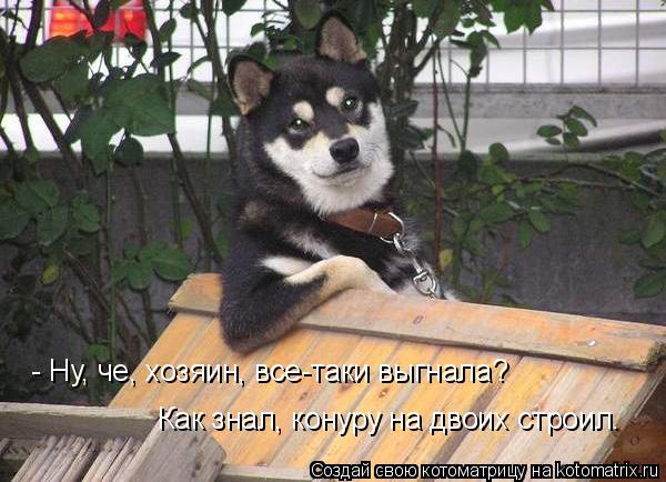 - Ну, че, хозяин, все-таки выгнала? Как знал, конуру на двоих строил.... Котоматрица: - Ну, че, хозяин, все-таки выгнала? Как знал, конуру на двоих строил.
