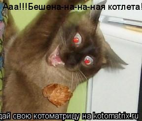 Котоматрица: Ааа!!!Бешена-на-на-ная котлета!!!