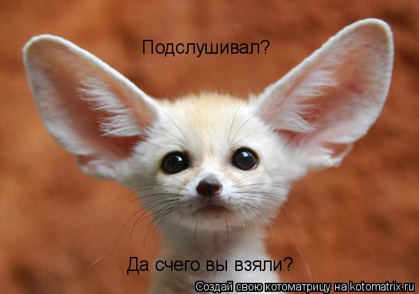 Котоматрица: Да счего вы взяли? Подслушивал?